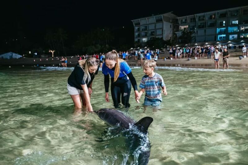 Moreton Island: Tangalooma Desert Safari and Dolphin Feeding - Final Thoughts