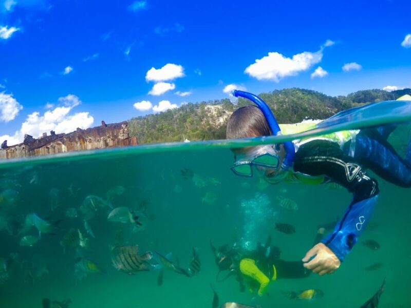 Moreton Island: Tangalooma Snorkeling Tour & Dolphin Feeding - Inclusions and Pricing