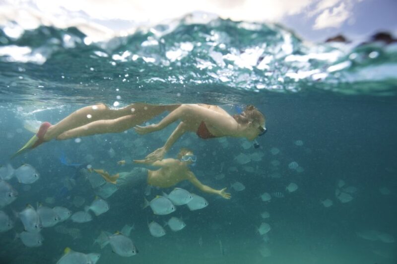 Moreton Island: Tangalooma Snorkeling Tour & Dolphin Feeding - Important Considerations