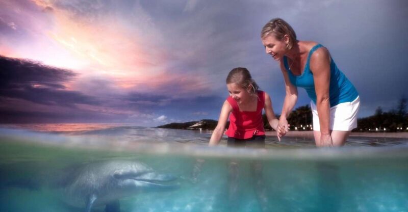 Moreton Island: Tangalooma Snorkeling Tour & Dolphin Feeding - Frequently Asked Questions