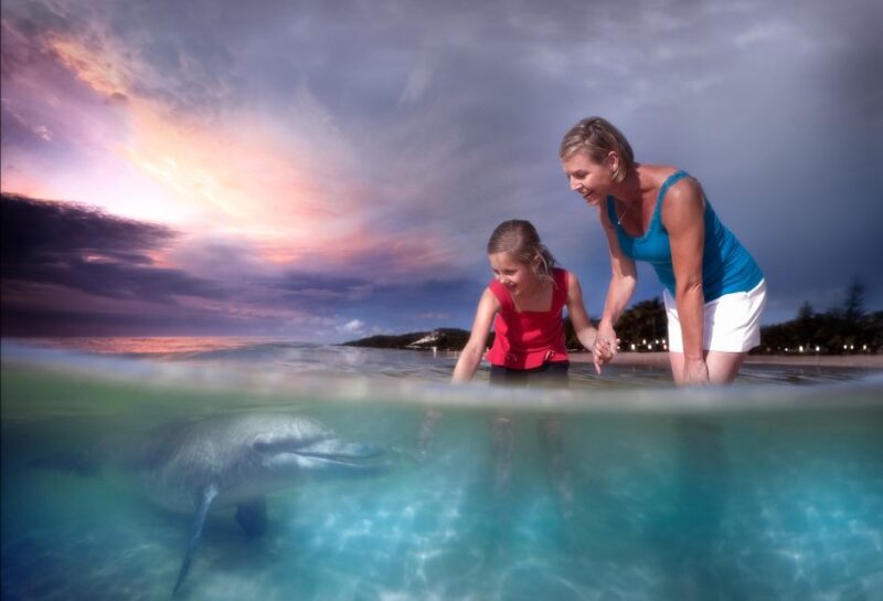 Moreton Island: Tangalooma Whale Watching & Dolphin Feeding - Guaranteed Whale Sightings and Commentary