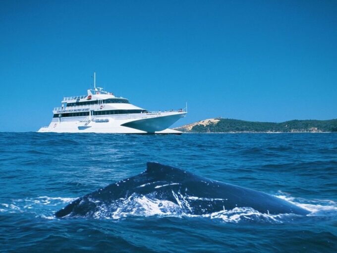 Moreton Island: Tangalooma Whale Watching & Dolphin Feeding - Tangalooma Island Resort Facilities Access