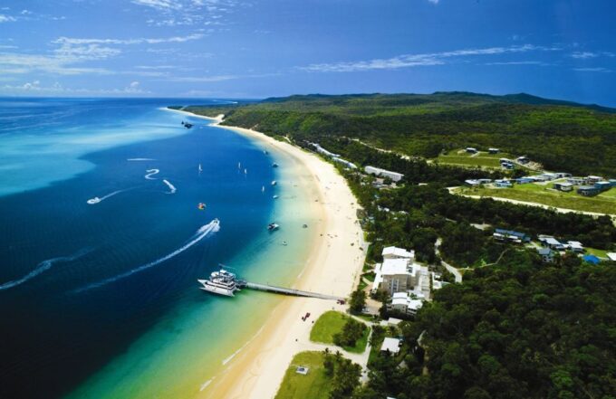 Moreton Island: Tangalooma Whale Watching & Dolphin Feeding - Tour Duration and Availability
