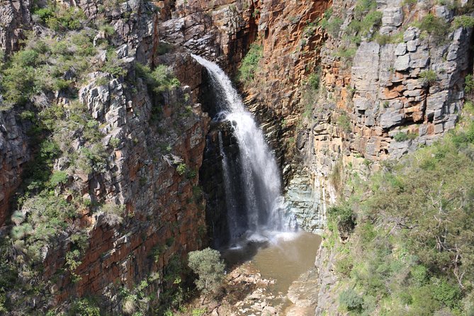 Morialta Wilderness and Wildlife Hike - Wildlife and Vegetation Highlights