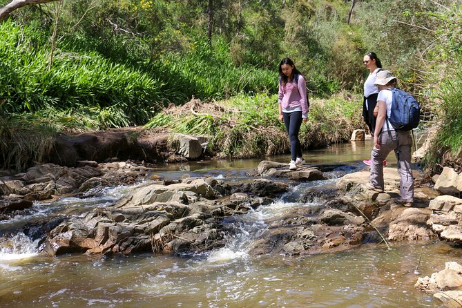 Morialta Wilderness and Wildlife Hike - Important Considerations
