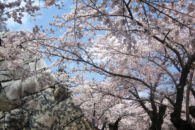 Morioka Full-Day Private Tour With Government-Licensed Guide - Inclusions