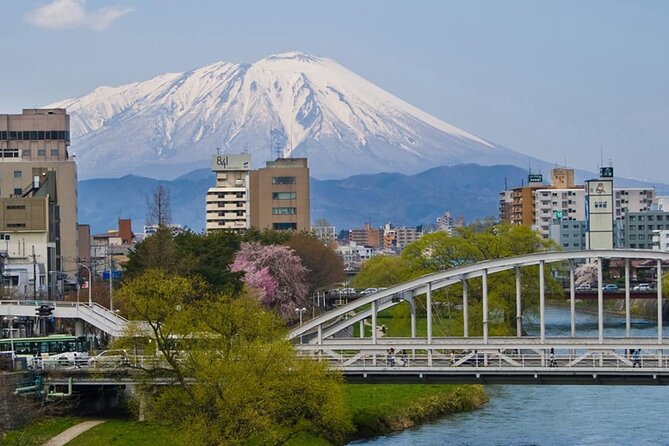 Morioka Full-Day Private Tour With Government-Licensed Guide - Licensed Local Guide