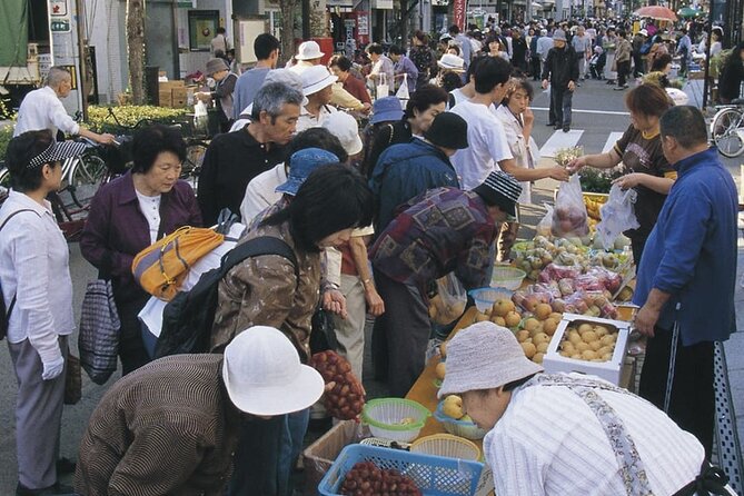 Morioka Half-Day Private Tour With Government-Licensed Guide - Price and Inclusions