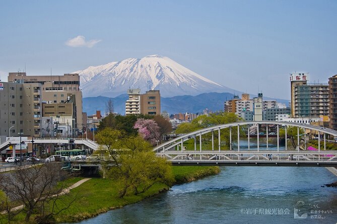 Morioka Town Half Day Walking Shared Tour With Wanko -Soba - Accessibility and Group Size