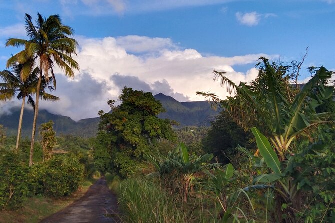 Morne Daiblotin Mountain Climb -Dominicas Tallest - About Your Stay
