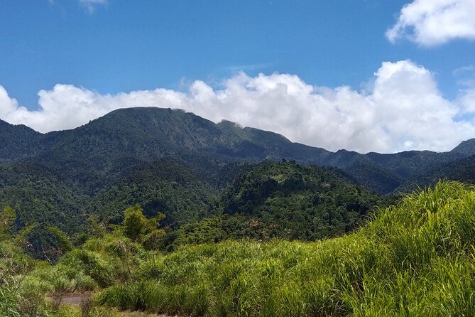 Morne Daiblotin Mountain Climb -Dominicas Tallest - Included Services
