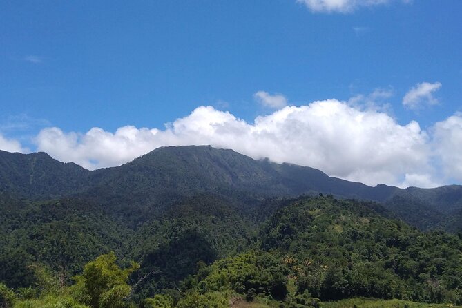 Morne Daiblotin Mountain Climb -Dominicas Tallest - Meeting and Pickup