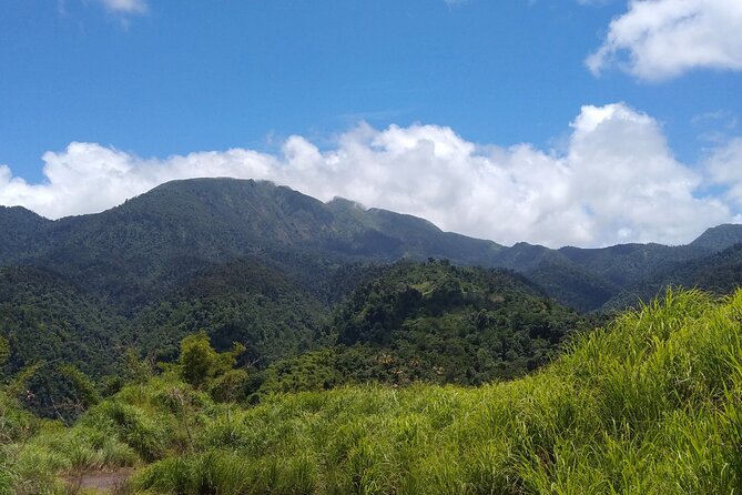 Morne Daiblotin Mountain Climb -Dominicas Tallest - Customer Feedback