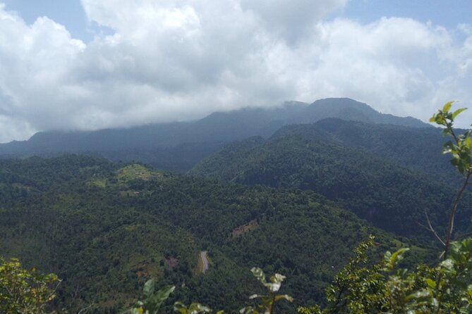 Morne Daiblotin Mountain Climb -Dominicas Tallest - Booking Your Stay