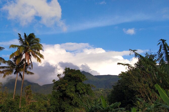 Morne Daiblotin Mountain Climb -Dominicas Tallest - Scheduling and Availability