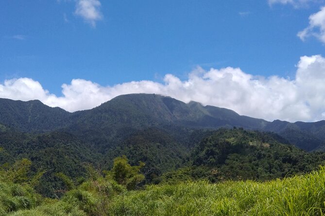 Morne Daiblotin Mountain Climb -Dominicas Tallest - Health and Safety Considerations