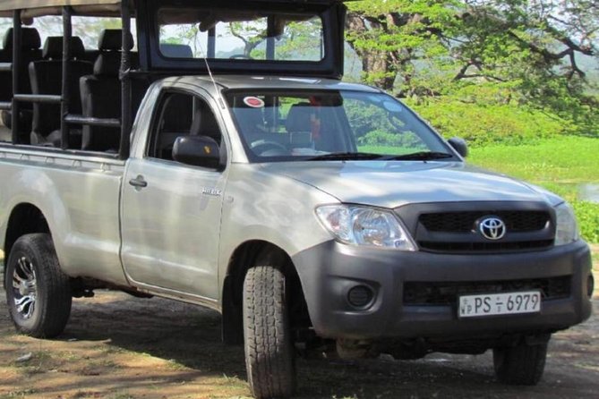 Morning 07 Hour Private Safari at Yala National Park by Yala La Safari Tours - Highlights of Yala National Park
