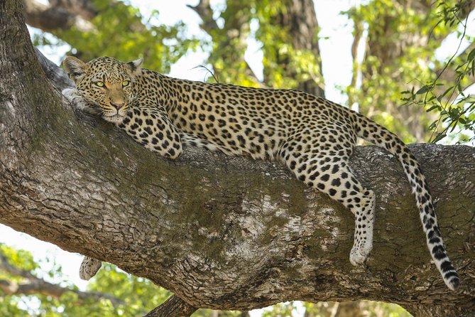 Morning 07 Hour Private Safari at Yala National Park by Yala La Safari Tours - Landscape and Scenery Admiration
