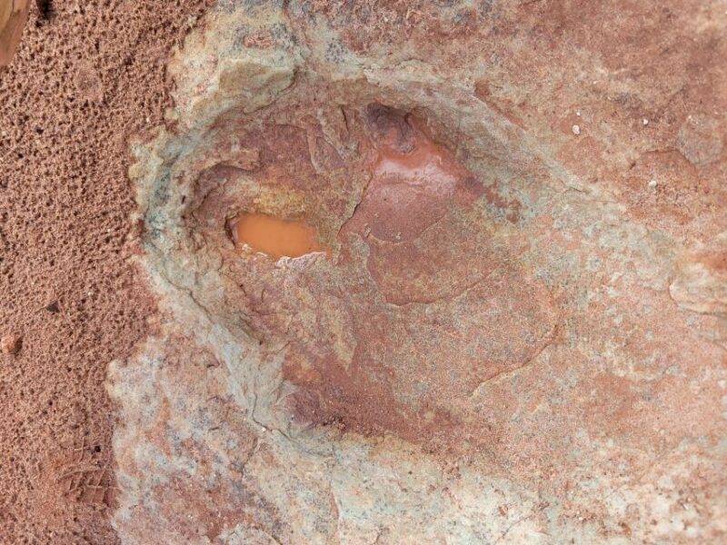 Morning Arches National Park 4x4 Tour - Participant Information