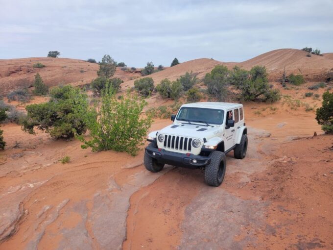 Morning Arches National Park 4x4 Tour - Contact Information