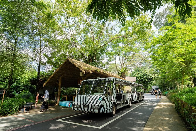 Morning at the Zoo With Transfer - Itinerary and Activities