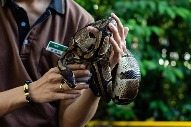 Morning at the Zoo With Transfer - Transportation and Tour Guide