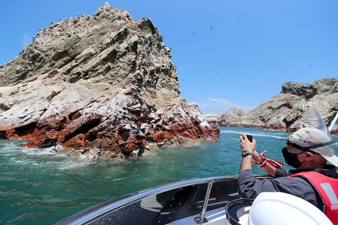 Morning: Ballestas Island Tour From Paracas With Entrances - Inclusions