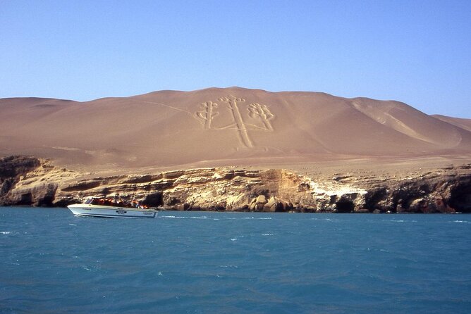 Morning: Ballestas Island Tour From Paracas With Entrances - Memorable Sightseeing Tour