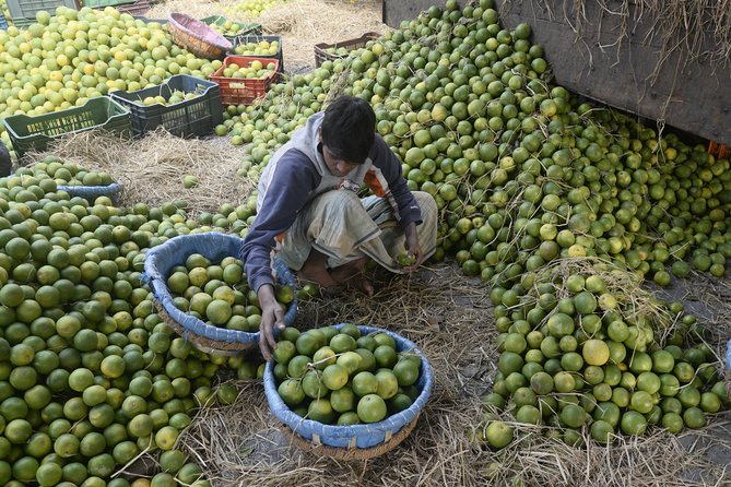 Morning Bazaar Walking Tour in Kolkata - Vibrant Open-Air Markets