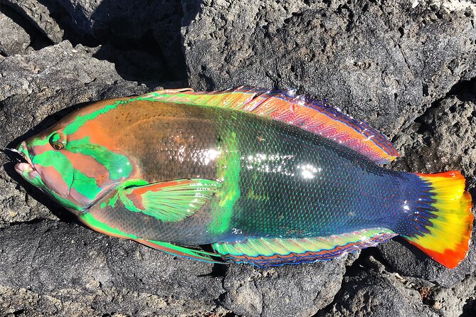 Morning Beach Fishing Trip In Hawaii - Customer Service Issues