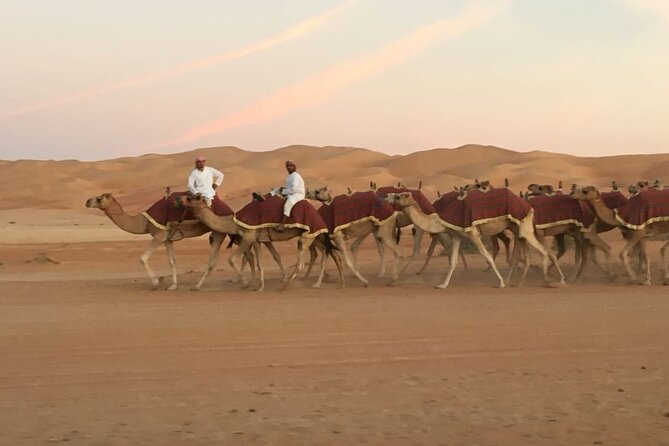 Morning Camel Trekking Over the Red Sand Dunes - Important Considerations for Travelers