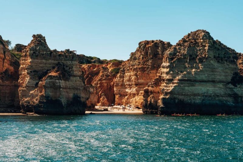 Morning Coastal Cruise - Experience Highlights