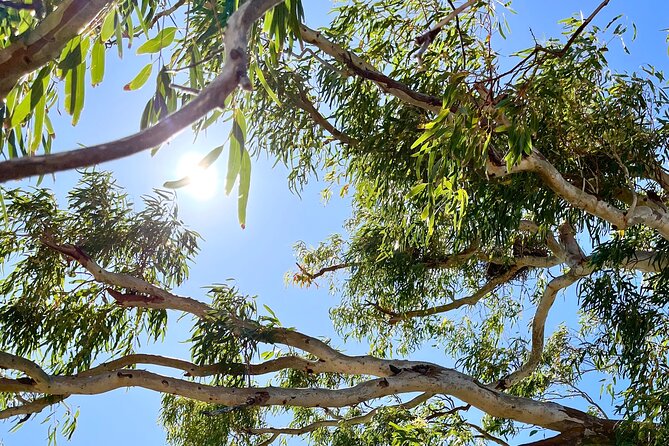 Morning Cruise on the Murchison River in Kalbarri (April to Nov) - Reviews and Feedback