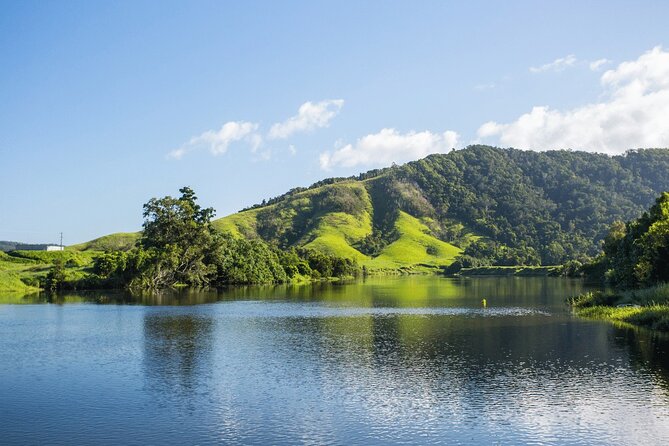 Morning Daintree River and Mossman Gorge From Port Douglas - Highlights of the Itinerary