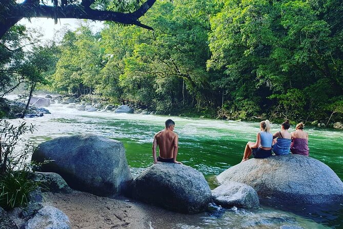 Morning Daintree River and Mossman Gorge From Port Douglas - Daintree River Cruise Experience