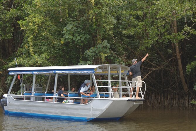 Morning Daintree River and Mossman Gorge From Port Douglas - Wildlife Spotting Opportunities