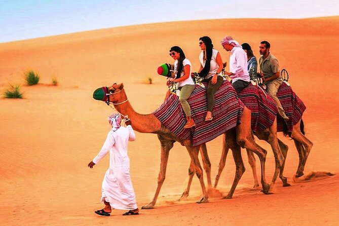Morning Desert Safari - Camel Riding Highlights
