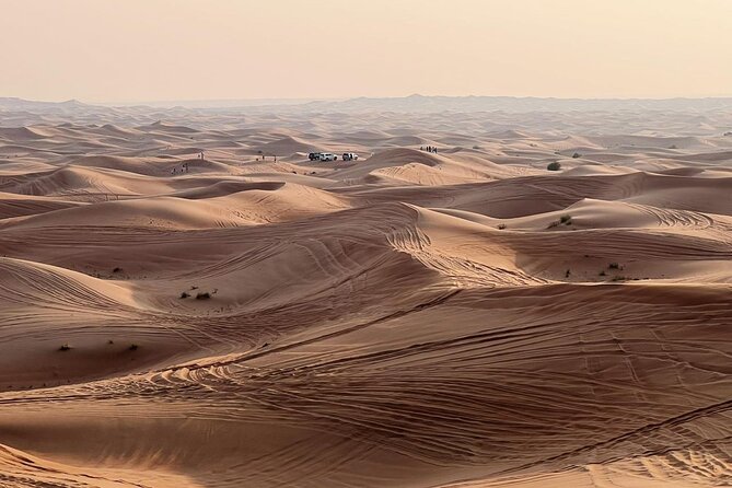 Morning Desert Safari Abu Dhabi With Camel Ride - Camel Ride Adventure
