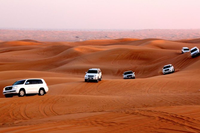 Morning Desert Safari Abu Dhabi With Camel Ride - Sandboarding Fun
