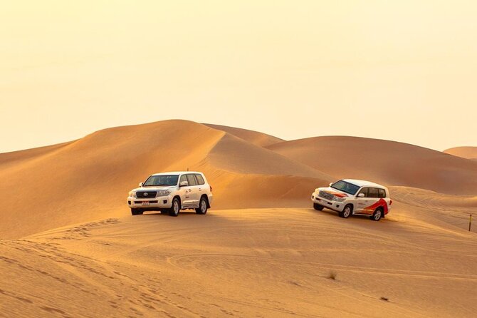 Morning Desert Safari From Abu Dhabi - Falcon Photography Session