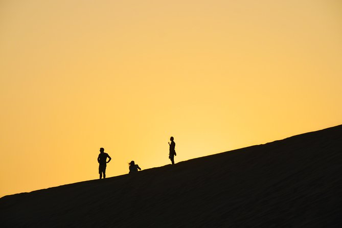 Morning Desert Safari With Camel Ride & Sand Skiing Private Tours - Pricing and Booking Information