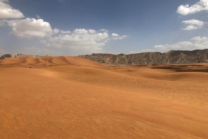 Morning Desert Safari With Camel Rides, Sand Boards and Dune Bashing - Thrilling Dune Bashing Experience