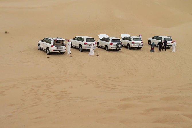 Morning Desert Safari With Camel Trekking - Camel Riding and Sand Skiing