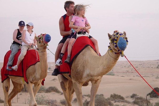 Morning Desert Safari With Quad Bike - Camel Ride and Falcon Show