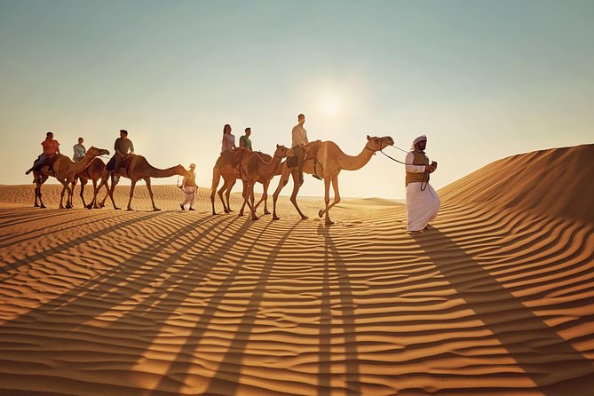 Morning Desert Safari With Quad Bike Tour Abu Dhabi - Group Size and Cancellation Policy
