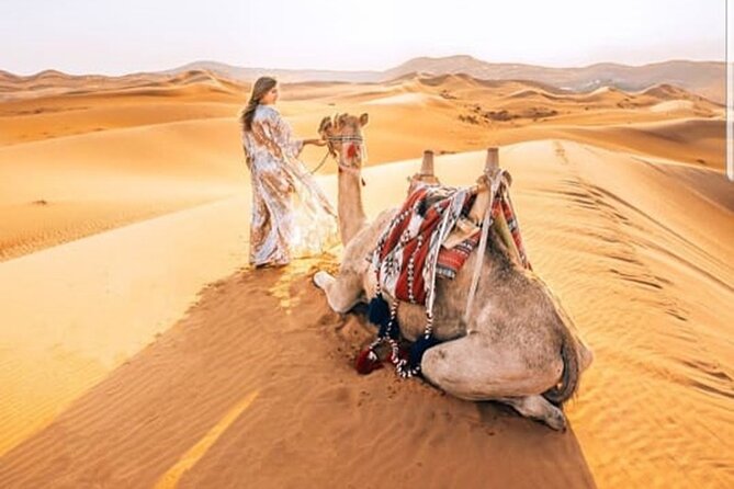 Morning Desert Safari With Quad Biking and Sandboarding - Pickup and Drop-off