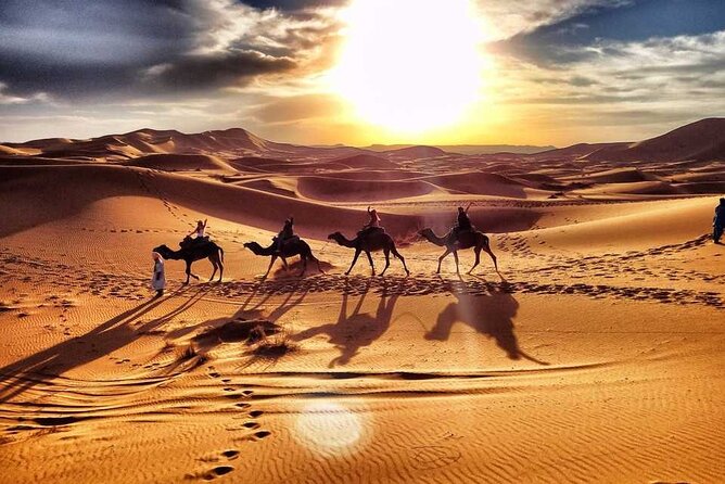 Morning Desert Safari With Sand Boarding and Dune Bashing - Inclusions