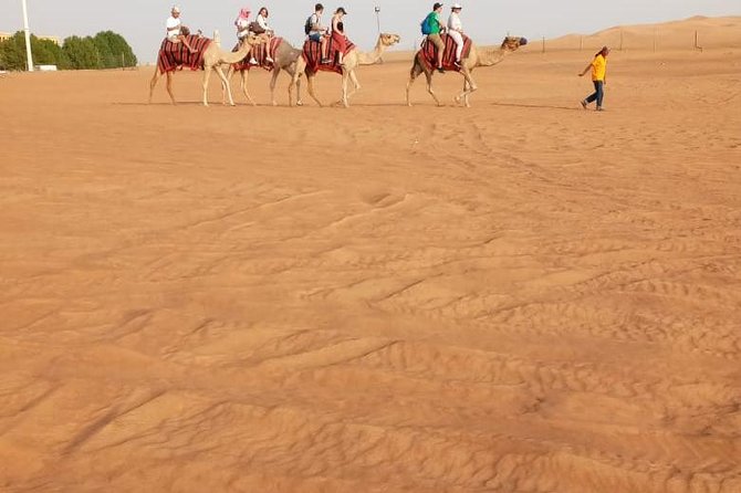 Morning Desert Safari With Sand Boarding and Dune Bashing - Exhilarating Sandboarding