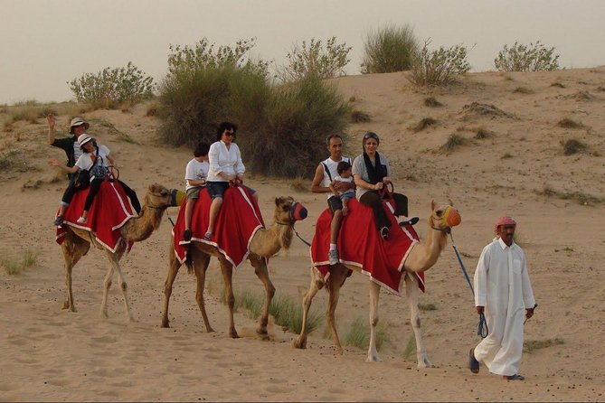 Morning Dubai Desert Dune Bashing and Camel Ride - Dune Bashing in 4x4