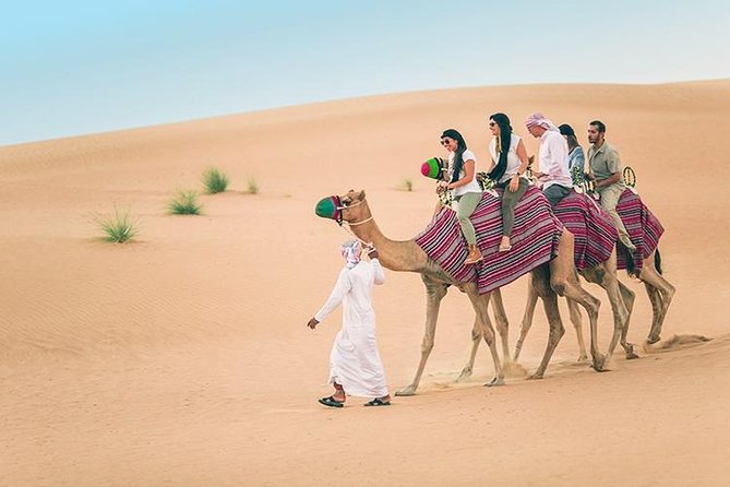 Morning Dubai Red Dune Safari, Quad Bike (ATV), Sand Boarding and Camel Ride - Camel Ride Highlight